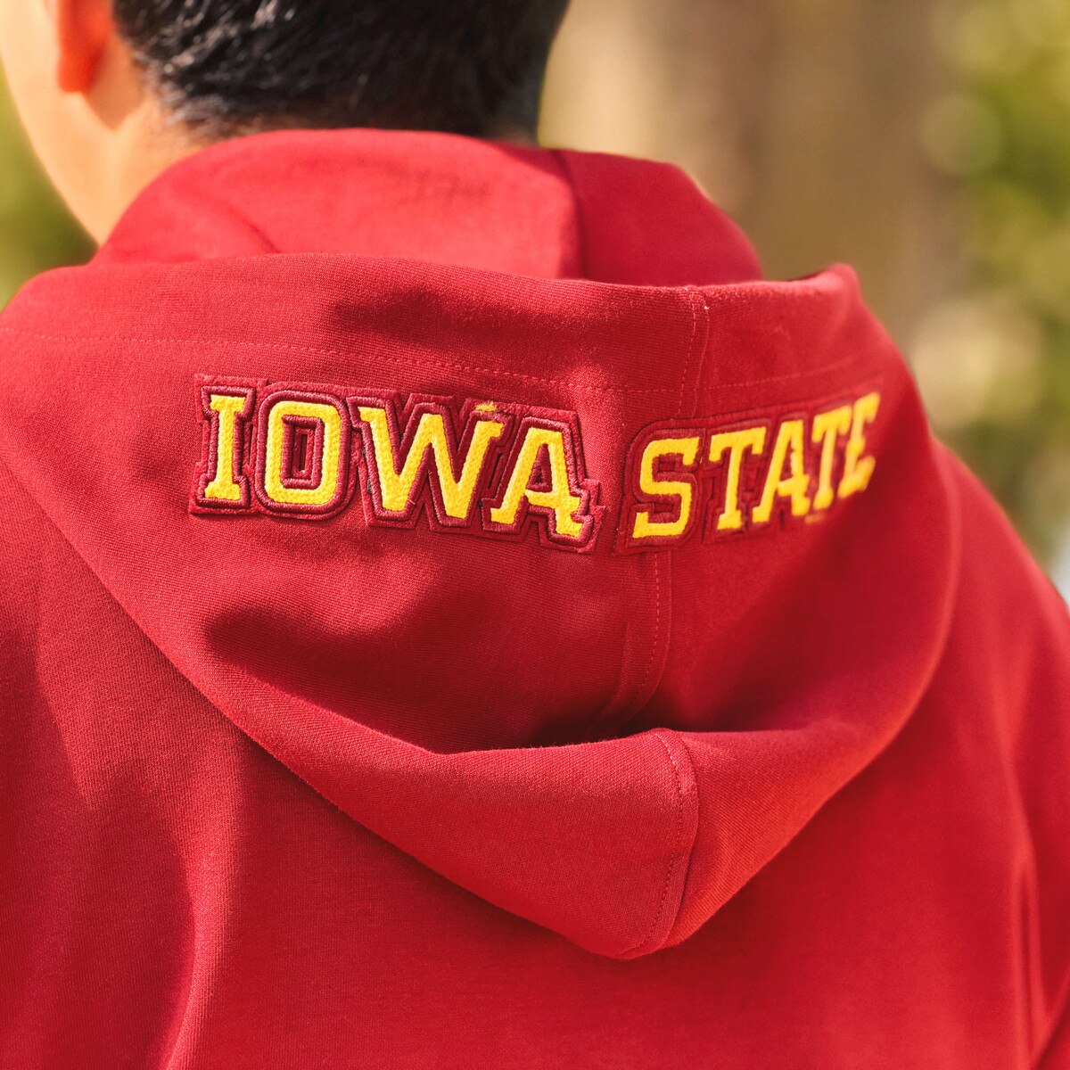 Pro Standard I-State Cardinal Full Zip Hoodie